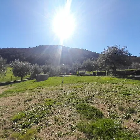 Casal Dei Colli Holiday home *