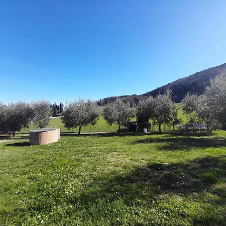 Casal Dei Colli Amelia