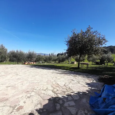 Casal Dei Colli