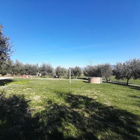 Casal Dei Colli Amelia