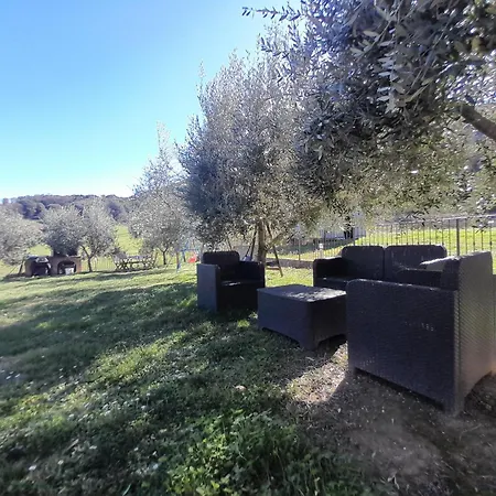 Casal Dei Colli Holiday home *