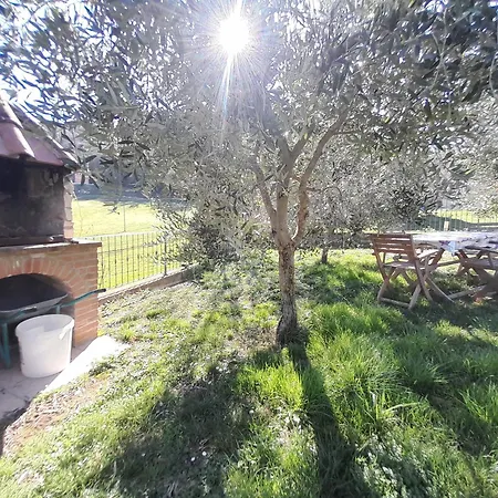 Casal Dei Colli Amelia